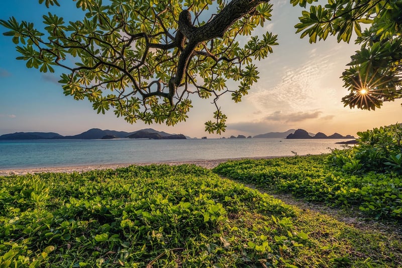 Nature's Beauty